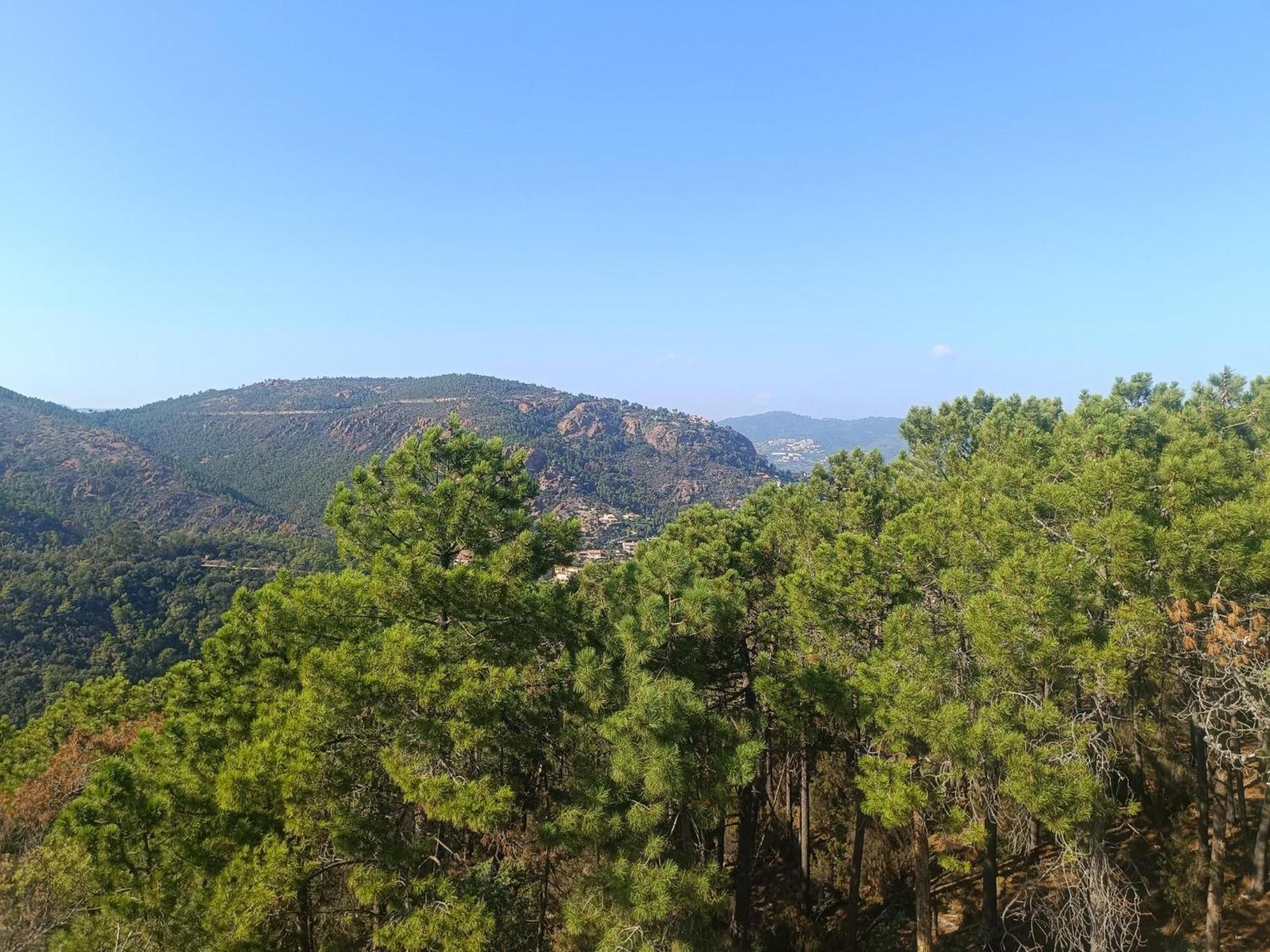 Magnifique Vue Mer Et Piscine - Les Cles De L Esterel Théoule-sur-Mer Extérieur photo